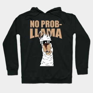 Llama no problem probllama funny cool Hoodie